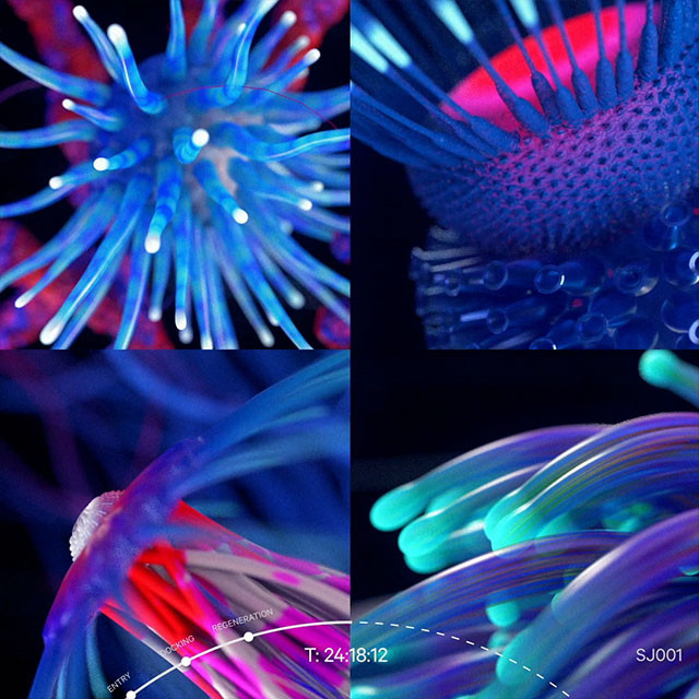Space Jackets experiment on Instagram